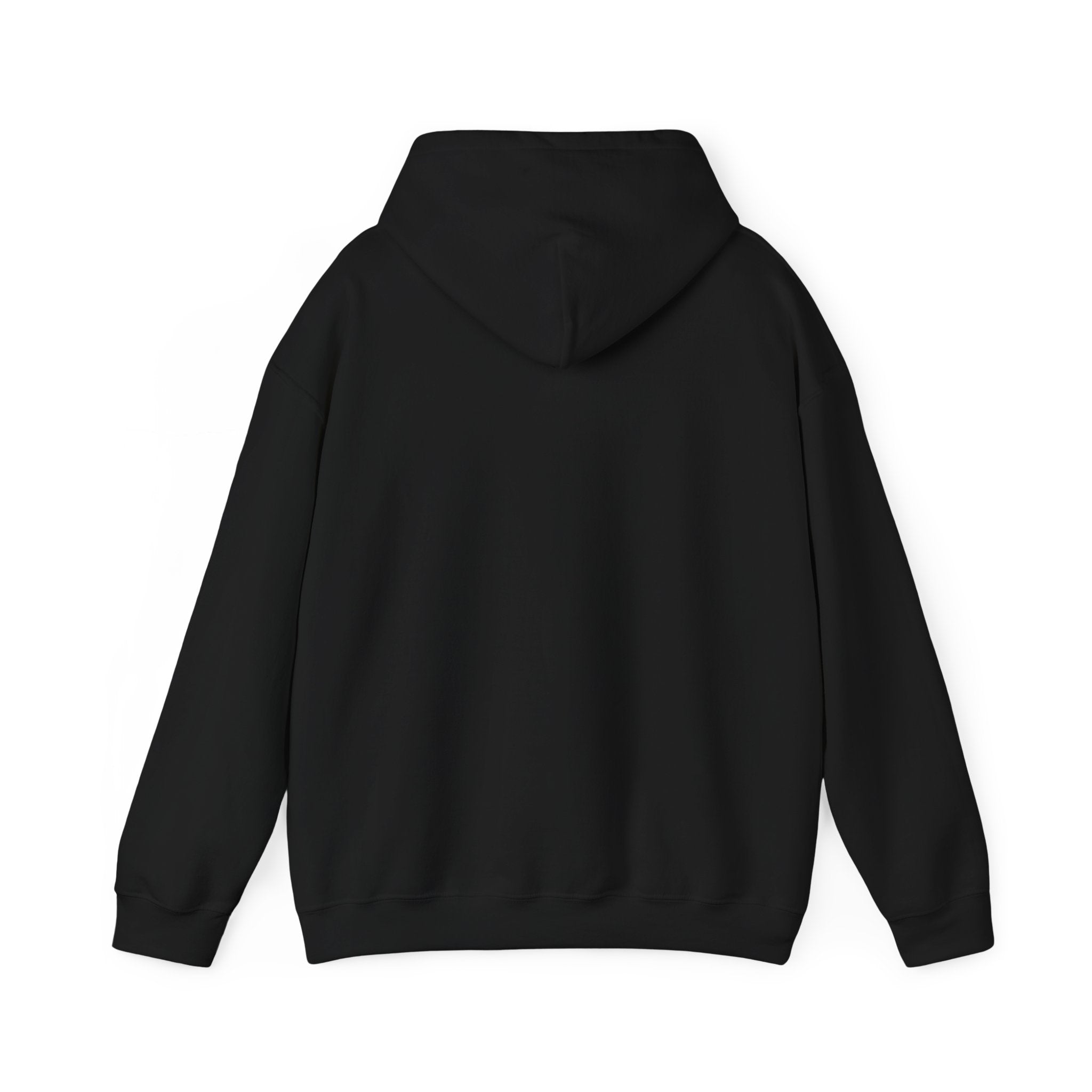 Igris Arise - Soft Longsleeve Solo Levelling Hoody